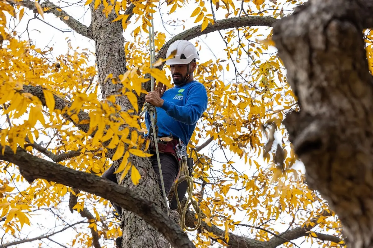 Skilled Storm Damage Cleanup crew working in Kirwin