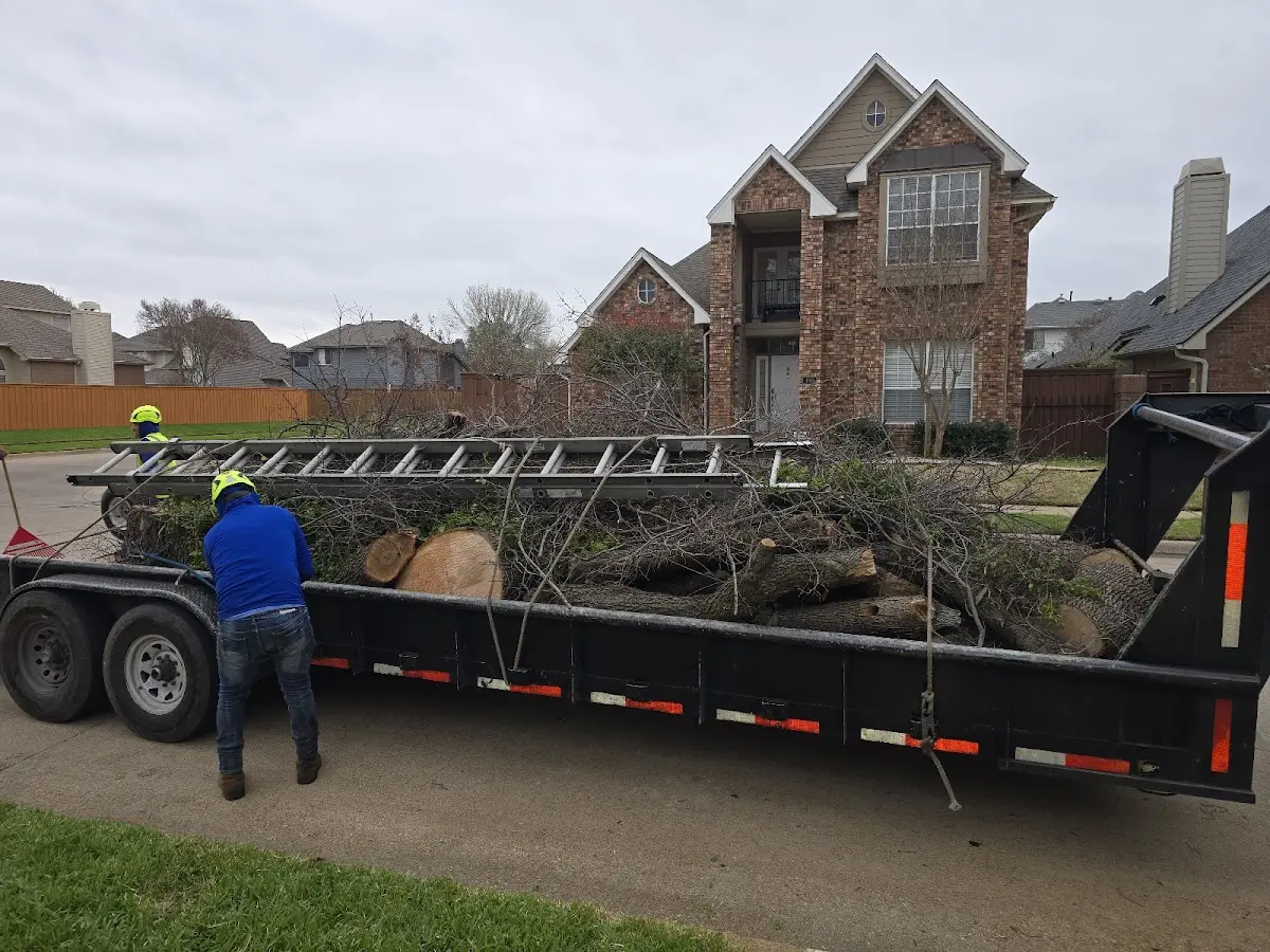 Expert Tree Fertilization with proper safety equipment in Kirwin